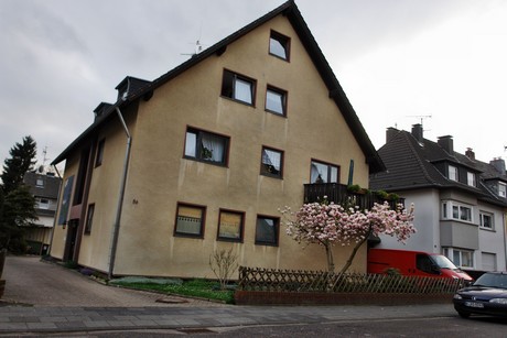 duennwald