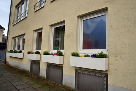 duennwald
