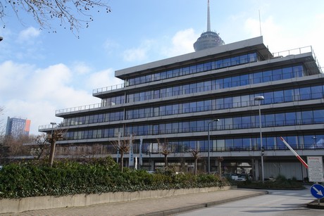 ehrenfeld