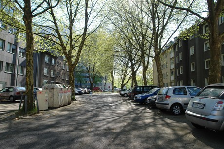 ehrenfeld