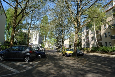 ehrenfeld