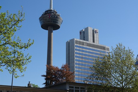 ehrenfeld