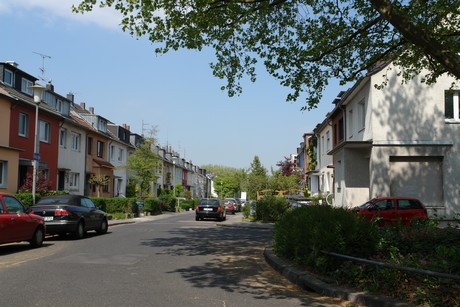 ehrenfeld