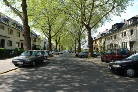 ehrenfeld