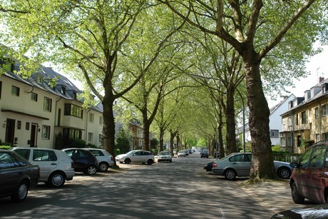 ehrenfeld