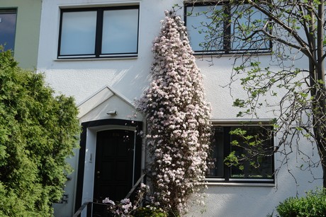 ehrenfeld