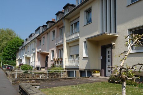 ehrenfeld