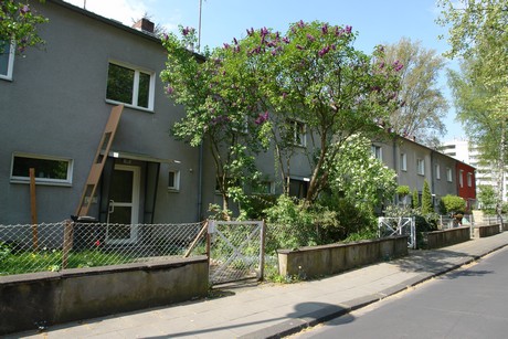 ehrenfeld
