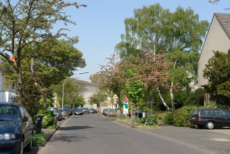 ehrenfeld