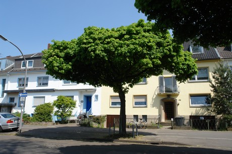 ehrenfeld