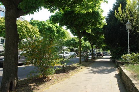 ehrenfeld