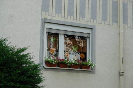 ehrenfeld