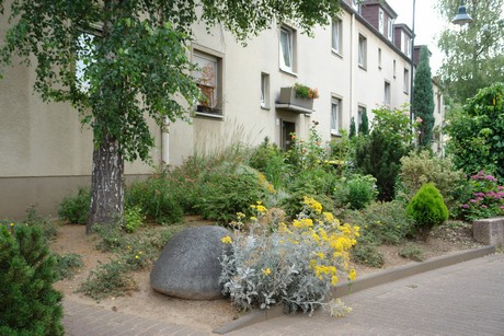 ehrenfeld