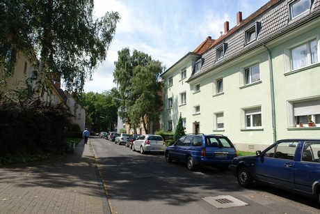 ehrenfeld