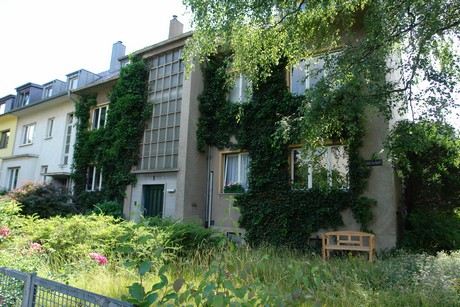 ehrenfeld