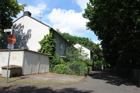 ehrenfeld