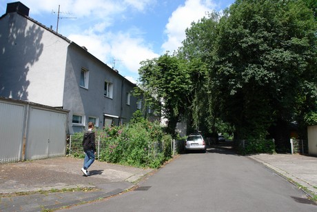 ehrenfeld