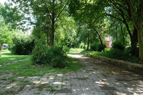 ehrenfeld