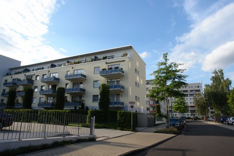 ehrenfeld