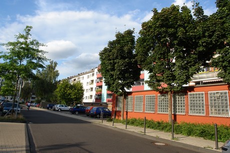 ehrenfeld