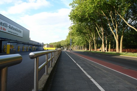 ehrenfeld