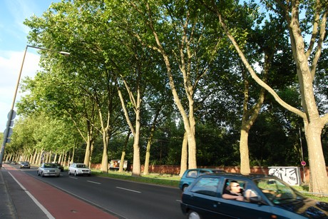 ehrenfeld