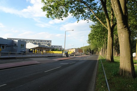 ehrenfeld