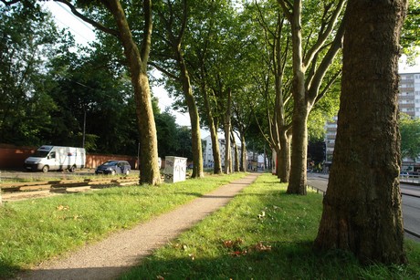 ehrenfeld