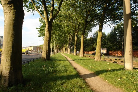 ehrenfeld