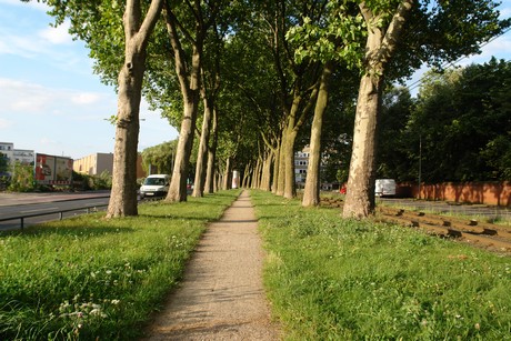 ehrenfeld