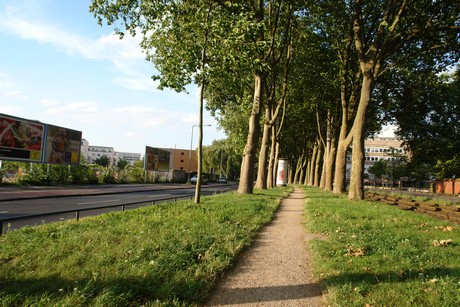 ehrenfeld