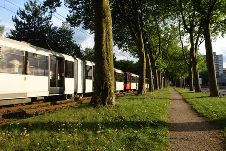 ehrenfeld