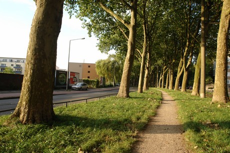 ehrenfeld