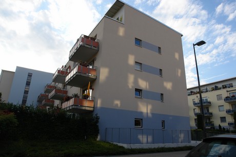 ehrenfeld