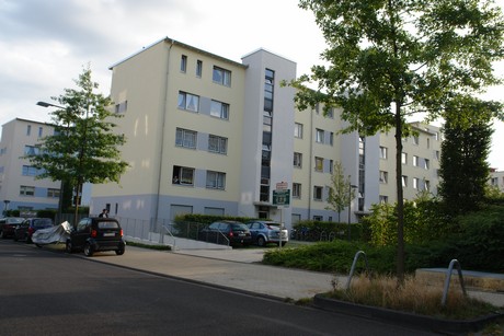 ehrenfeld