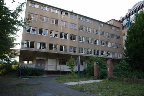 ehrenfeld
