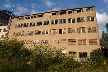 ehrenfeld
