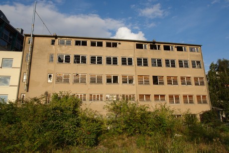 ehrenfeld