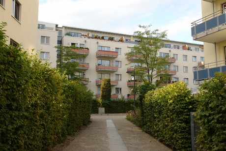 ehrenfeld
