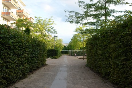 ehrenfeld