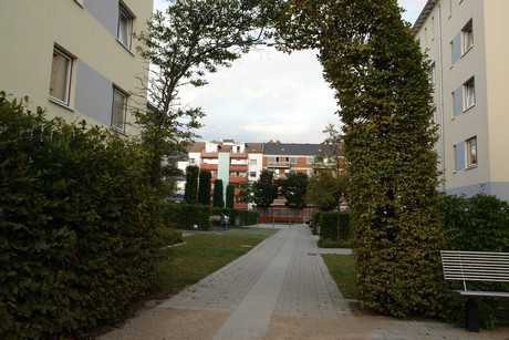 ehrenfeld