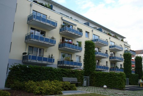 ehrenfeld