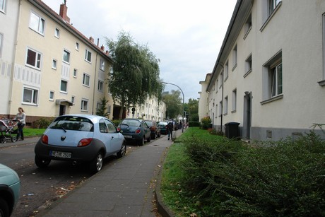 ehrenfeld