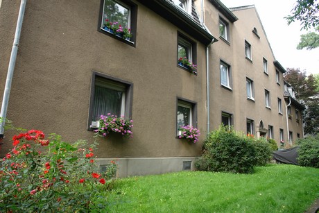 ehrenfeld