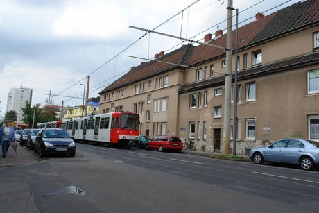 ehrenfeld