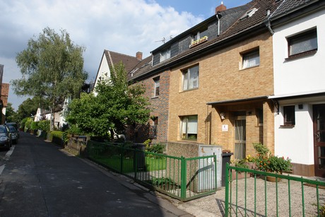 ehrenfeld