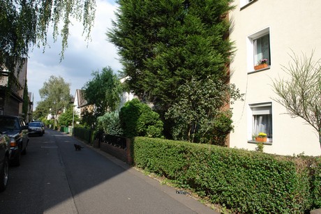 ehrenfeld