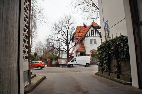 ehrenfeld