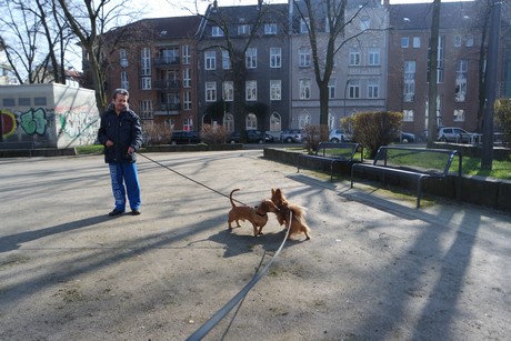 ehrenfeld
