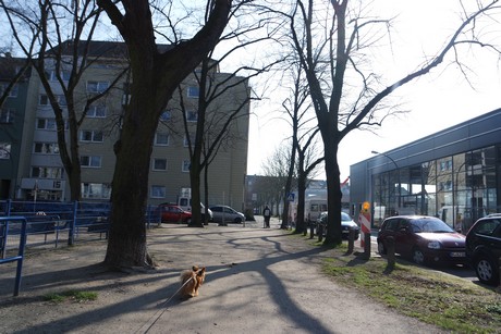 ehrenfeld